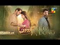 Hum Dono - Episode 23 - [CC] 24th December 2024 [ Kinza Hashmi & Azaan Sami ] - HUM TV