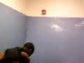 D.L.B Vs Lj (Young Kimbo Slice)
