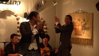 アルマ フラメンカ インタビューの画像