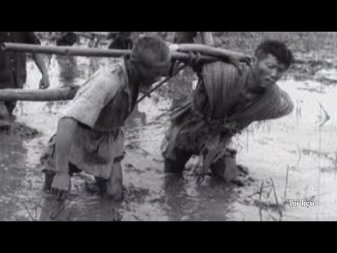 Nạn đói năm 1945 và sự thật lịch sử (Kỳ 2)