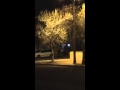 Video of APD Shooting - 60th/Avalon NW 3/26/2014