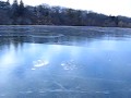 sk8ing Grenadier Pond in Toronto January 2010 Thumbnail