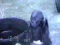 Значок видео