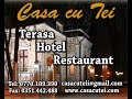Restaurant Hotel Casa cu tei Craiova.avi