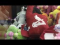 Man vs. Claw: Angry Bird Mission