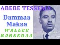 Abebe Tessema - Boggee Ilkaan Aannanii  Oromo Music