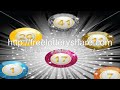 Our Dream Team Euromillions Lottery Result 31-12-2010.mp4