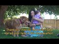 A dog rescue that will make you smile. Please share on FB & Twitter. Mobile users - see link below