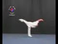 Shaolin Wushu Kungfu