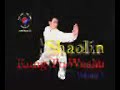 Shaolin Wushu Kungfu