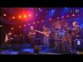 Yellow Jackets live