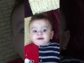funny crawl baby .MOV