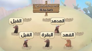 لعبة حيوانات ذكرت في القرآن الكريم