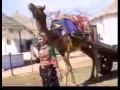 Sindhi Song Waj Nagara