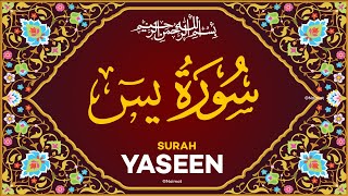 Surah YASEEN (YASIN ) | (كاملــــه) سورة يس | Full With Arabic Text (HD