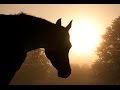 8 Hour Deep Sleep Music Theta Waves: Sleep Music, Calming Music, Soothing Music ☯131