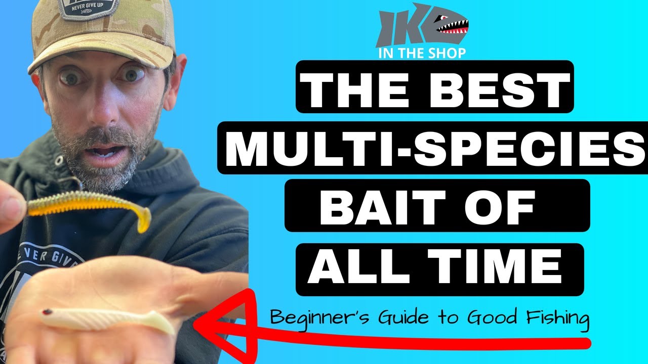 The BEST Multi-species LURE of ALL TIME (Beginner's Guide to Good