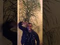 Mario's Message to Sevyn Streeter