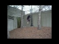 Toledo Free Running/Parkour - Devin