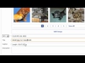وضع صور متحركة Gif مع أغاني موسيقية علي الفيس بوك Mp3