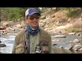 Fly Fishing at Deckers