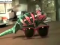 Amir Sajjad qudrat ka karishma