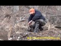 MUSKRAT TRAPPING AND BEAVER TRAPPING SPRING WATER TRAPPING PT 1