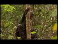 CIGS - Centro de Instrução de Guerra na Selva.flv