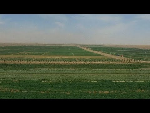 New technology in China turns desert into land rich with crops