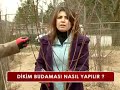 NASIL BUDAMA YAPILIR BÖLÜM 1
