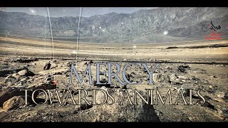 Story Of Mercy Towards Animals