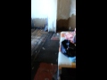 Выше виде не открывалось.это видео во время потопа и после него
