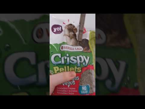 Crispy Pellets pour chinchilla & octodon : avis, test, prix - Conso Animo