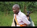 Igiti ntikigukora mu jisho kabiri