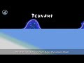 Tsunami de Japón, parte I : La destrucción