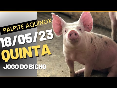 Resultado Jogo do Bicho ao vivo - PTV RJ 16:20 / LOOK GO - 17/05