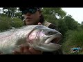 How to fly fish for Trout - Totally Awesome Fishing