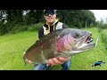 How to fly fish for Trout - Totally Awesome Fishing