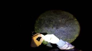 ловля линя поплавочной удочкой в камышах ловля линя поплавочной удочкой в камышах