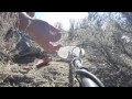 Gold Nugget hunting with nvchris