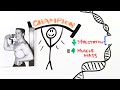 The Scientific Secret of Strength and Muscle Growth