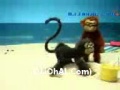 Desi Baandar Punjabi Funny DJJOhAL Com