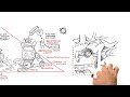 RSA Animate - The Divided Brain