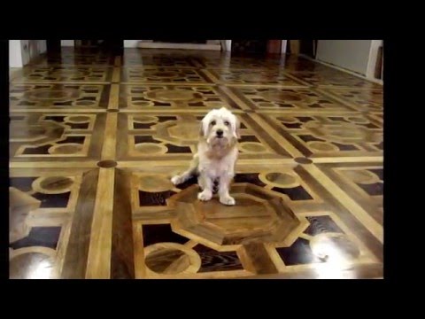 Magri parquet srl google