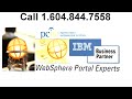 What is a Web Portal? WebSphere Portals - PCIS is a IBM Business Partner