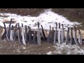 Machetes 1: Intro to Machetes, Uses and Benefits