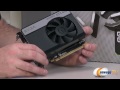 Newegg TV: EVGA GeForce GTX 650 1GB Overview & Benchmarks