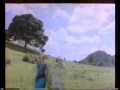 Hot bhanupriya in Transperent saree hot rain song