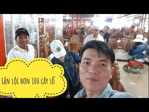 Lặn lội hơn 100 cây số lên lựa hàng Đồ Gỗ Trâm Anh (số 334)/0794455222