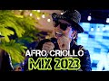 Afro Criollo - A Cuerpo Cobarde, Apagame, La Conga, Cachita, Tanto trabajar La vaca vieja, House Mix